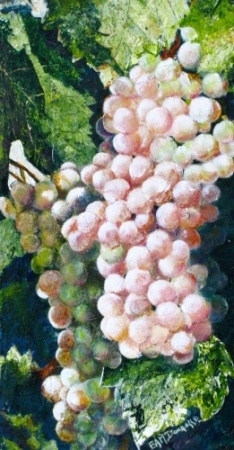 PINOT GRIS ,ACRYLIC,  20 X 12